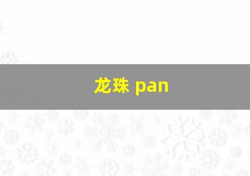 龙珠 pan